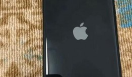 苹果16最新爆料小白测评,小白实测，性能与设计的完美融合